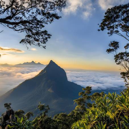 Adam Peak Sri Pada Sacred Mountain Views in Sri Lankas Serene Landscape