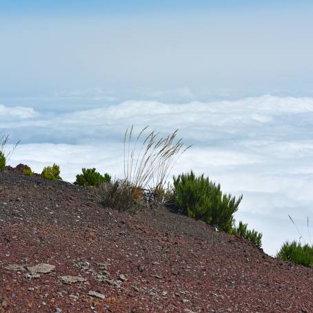 Adventure at Pico Ruivo Hiking to Abrigo do Pico Ruivo with Scenic Views