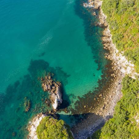 Aerial View of Black Sand and Turquoise Sea