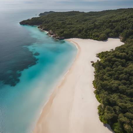 Aerial View of Lonely Paradisiacal Beach