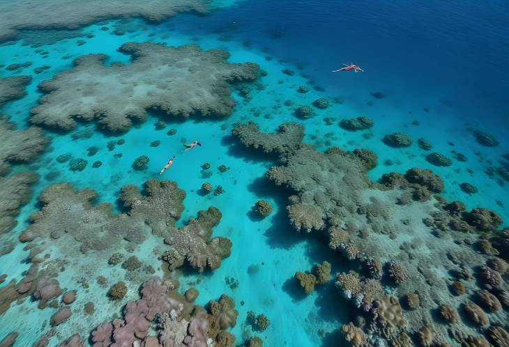 Aerial View of Snorkeler Among Vibrant Coral Reefs Oceans Colorful Underwater Wonderland