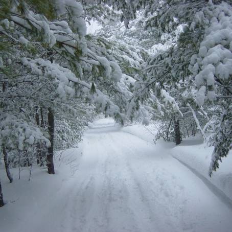 Aerial View of Snowy Forest Road