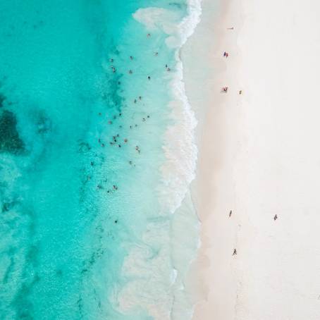 Andros Island Pool and Beach with Palm Trees, Bahamas