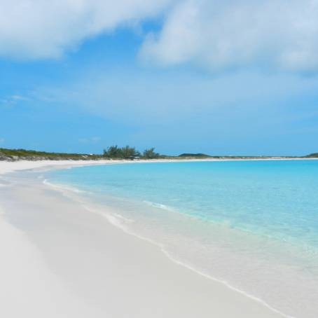 Beach and Pool View with Palms on Andros Island, Bahamas