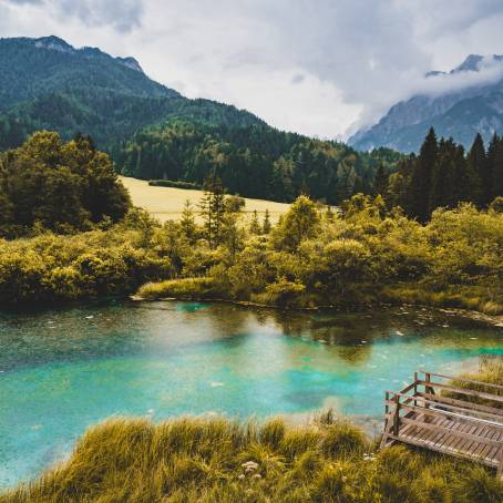 Beautiful Morning at Zelenci Nature Reserve in Slovenia