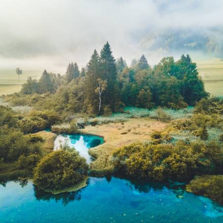 Breathtaking Morning at Zelenci Nature Reserve, Slovenia