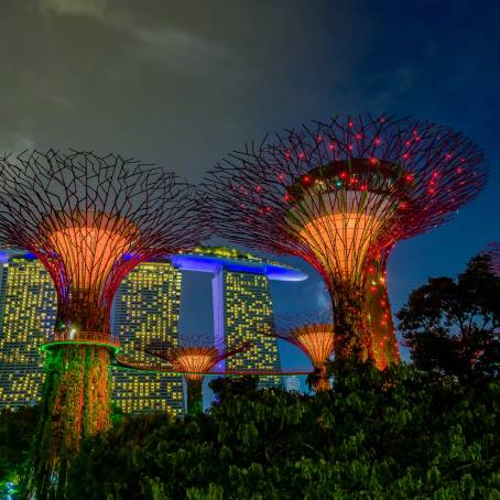 Captivating Dusk at Gardens by the Bay