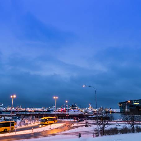 Capturing the Spirit of Reykjavik Sun Voyager