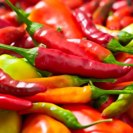 Cayenne Pepper Red and Spicy on a White Background