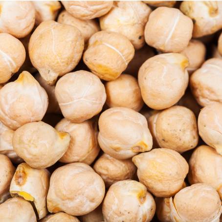 Chickpeas on White Background CloseUp