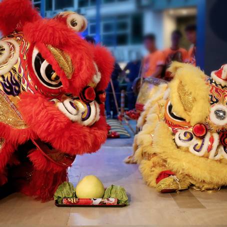 Chinese Lion Dance Showcased During New Years Festivities