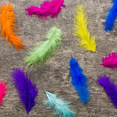 Close Up of a Feather with Multicolored Shades and Yellow Highlights