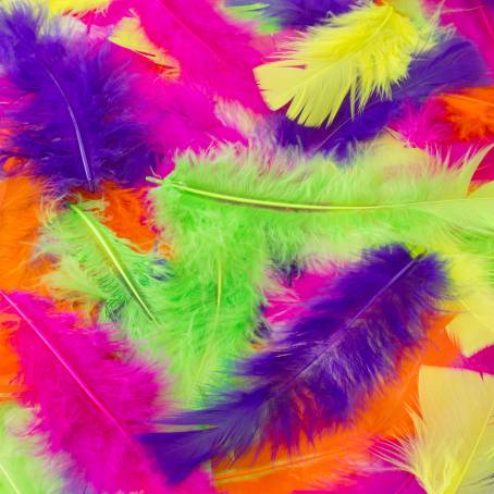 Close Up of a Multicolored Feather Displaying Bold Yellow Tips