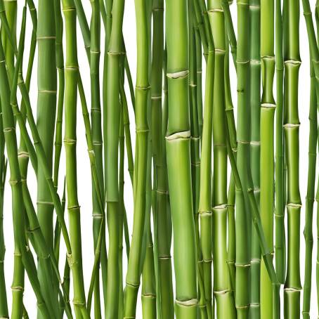 Close Up of Green Bamboo Stems Highlighting Natural Patterns and Textures