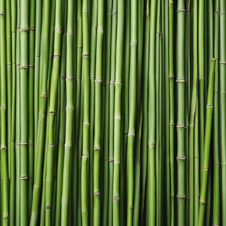 Close Up of Vibrant Green Bamboo Stems with Emphasis on Natural Detail