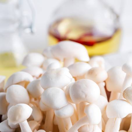 CloseUp of Fresh Beech Mushrooms Hon Shimeji Isolated on White Surface