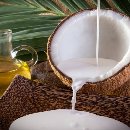 Coconut Isolated with Half, Slice, and Piece on White Background Full Depth of Field, Leaf Included