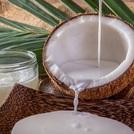 Coconut with Half, Slice, and Piece Isolated on White Coco Nut and Leaf, Full Depth of Field