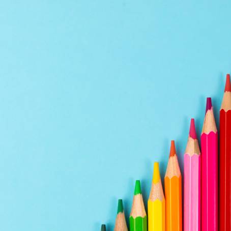 Colorful Pencils Arranged on White Background