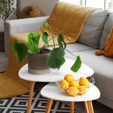 Cozy Coffee Table  Wicker Basket Living Room Style