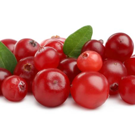 Cranberries in Air with White Background