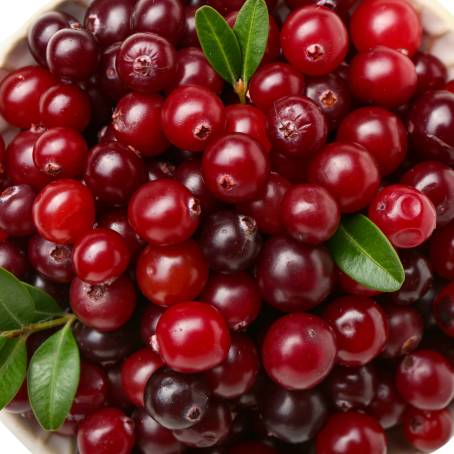 Cranberries Levitating and Falling on White Background