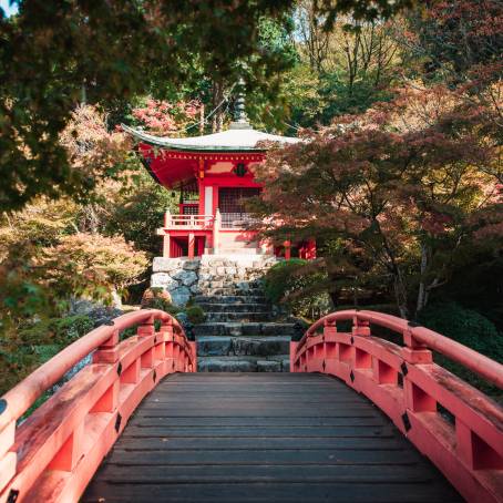 Daigoji Temples Autumn Magic in Kyoto, Japan