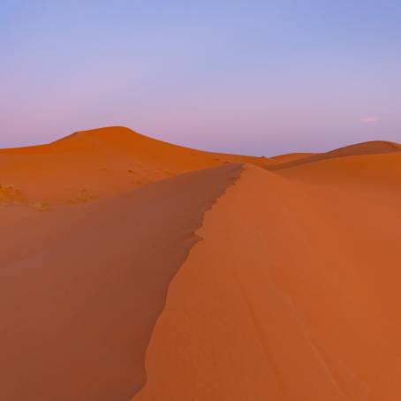 Desert Majesty Red Dunes of Erg Chebbi, Morocco