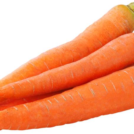 Detailed Top View of Fresh Carrots Daucas Carota Isolated on White for Healthy Culinary Uses