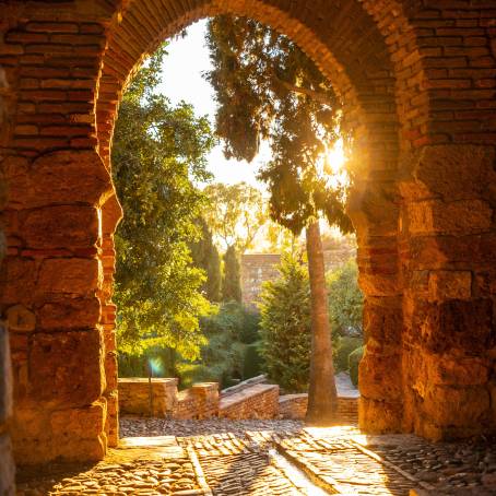 Discovering the Gardens of the Alcazaba in Malaga