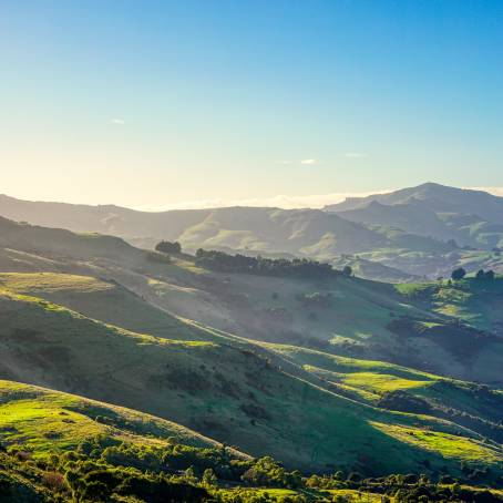 Discovering Waitomo New Zealands Countryside Gem