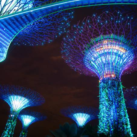 Dusk Gardens by the Bay A Dusk Wonderland