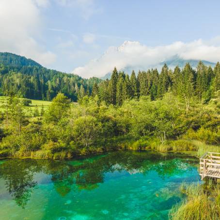 Enchanting Morning at Zelenci Nature Reserve, Slovenia