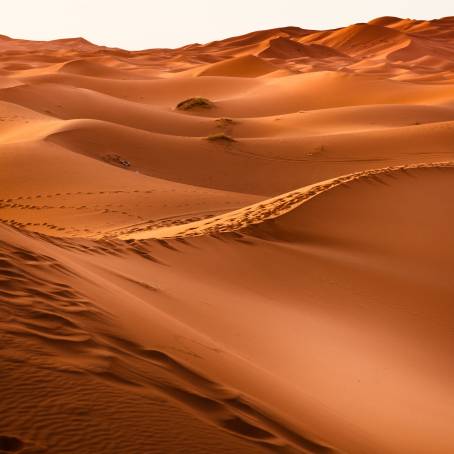 Erg Chebbi Dunes Moroccos Red Desert Beauty