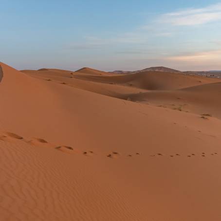 Erg Chebbi Dunes Red Sands and Saharas Charm