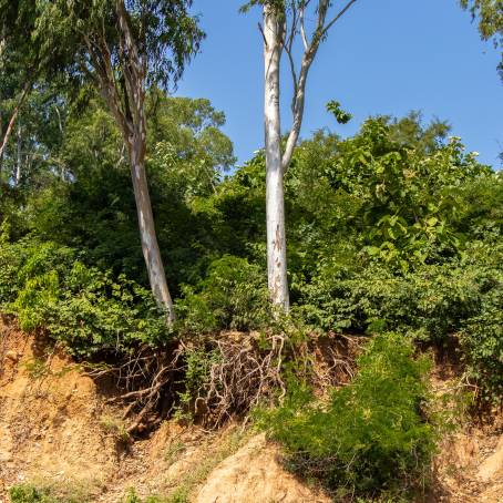 Erosion and Landslide Damage Cracked Roads and Eroded Cliffs