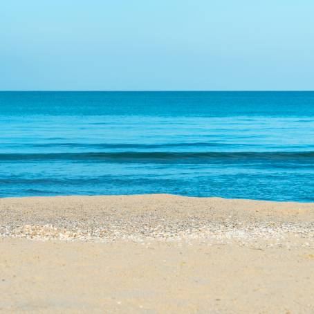 Expansive Beach and Sea with Clear Copy Area