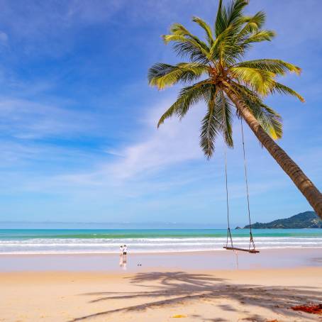 Expansive Tropical Beach with Coconut Trees and Ocean Breeze