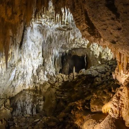 Exploring the Wonders of Ruakuri Cave