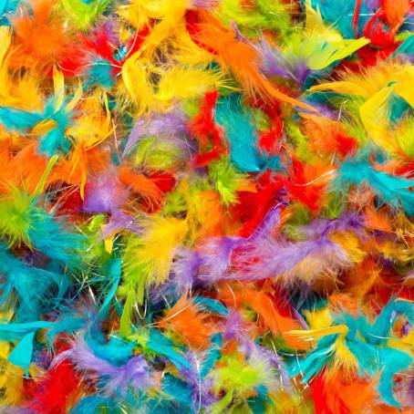 Exquisite Close Up of a Multicolored Feather with Bold Yellow Tips