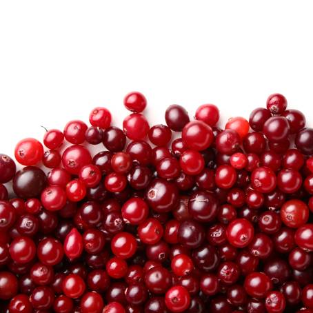 Falling Cranberries on Isolated White Background