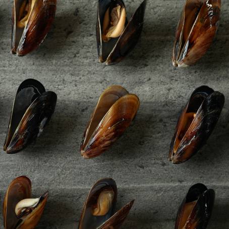 Floating Mussels on White Background CloseUp