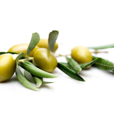 Flying Green Olives and Slices Isolated on White