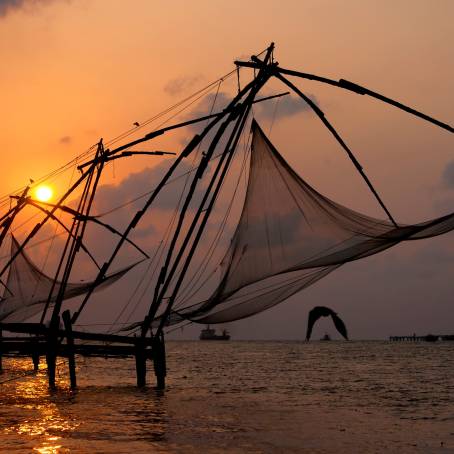 Fort Cochins Chinese Fishing Nets Amidst Coastal Charm