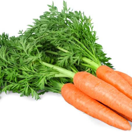 Fresh Raw Carrots Daucas Carota Top View Isolated on White Background for Healthy Lifestyle