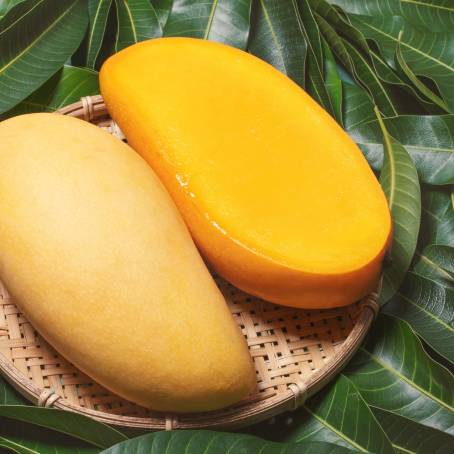 Fresh Yellow Mango Top Down View on White Background, Ideal for Tropical Fruit Imagery