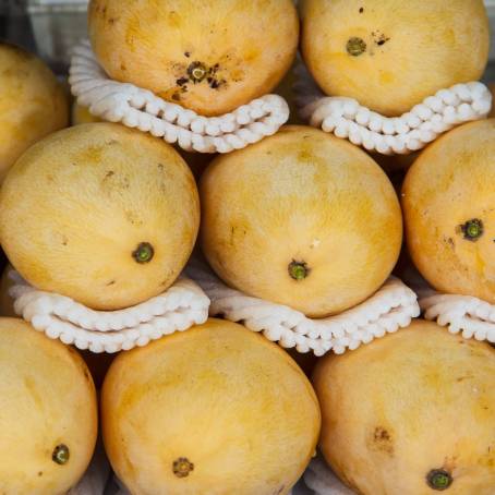 Fresh Yellow Mango Top View Isolated on Clean White Surface, Ideal for Tropical Fruit Images