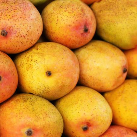 Fresh Yellow Mango Top View Isolated on White Background, Ideal for Tropical Fruit Imagery