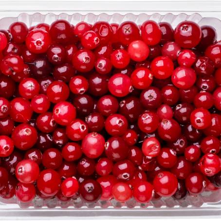 Full Depth Focus Cranberries with Leaves on White Isolated Berries, Top View, Detailed