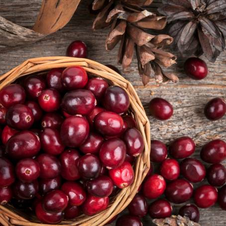 Full Depth of Field Cranberries with Leaves on White Background Isolated Top View of Berries